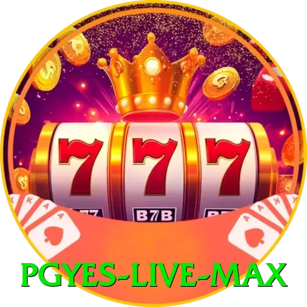 pgyes - Live Max - 🔥 apk